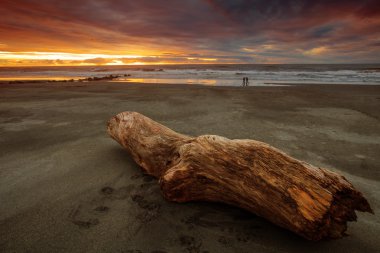 hokitika beach Güney Isla de güzel doğal güneş set deniz scape