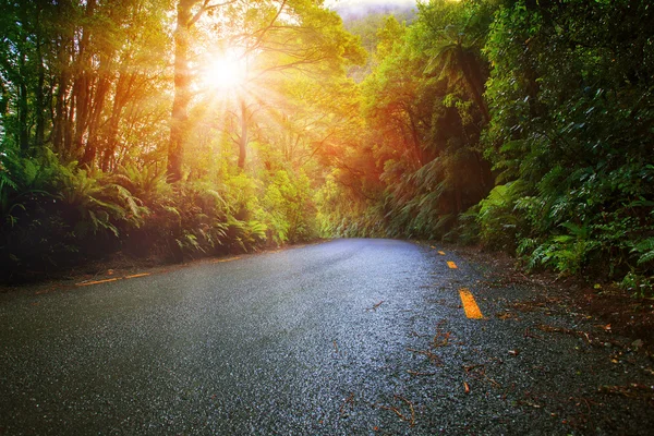 Luce del sole in umidità montagna foresta pluviale prospettiva asfalto r — Foto Stock