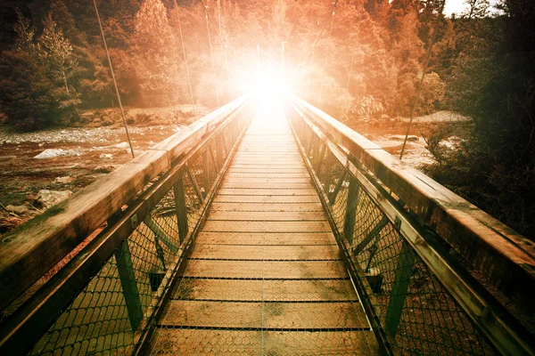 Warp light at the end of suspension bridge crossing steam in wil — Stock Photo, Image