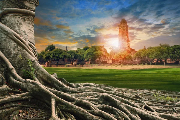 Gran raíz del paisaje de tierra del árbol de Banyan de pagoda antigua y antigua en — Foto de Stock