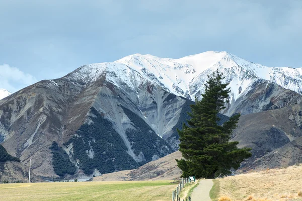 Castle hill önemli hedef Simgesel Yapı güneyde ziyaret için — Stok fotoğraf