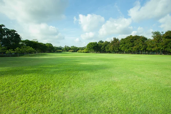 Schönes Morgenlicht im öffentlichen Park mit grünem Rasenfeld und — Stockfoto