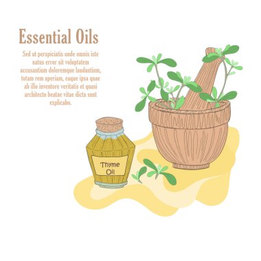 Kekik bitkisel ve kekik yağlı el havanı. Kozmetik, Mutfak ve Sağlık Ürünleri için Eski moda Vektör İllüstrasyonunda Ayrı Bileşim.