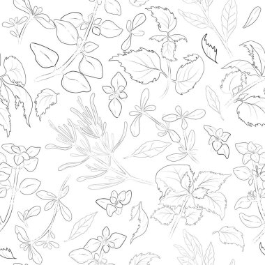 Contoured Leaves ve Twigs of Cooinary Herbs ile kusursuz desen. Kara Kekik, Oregano, Shiso, Rosemary ve Laurel 'in izole edilmiş parçaları. Dergi, Tarif kitabı, Poster, Kartlar, Menü kapağı vs. için ideal.