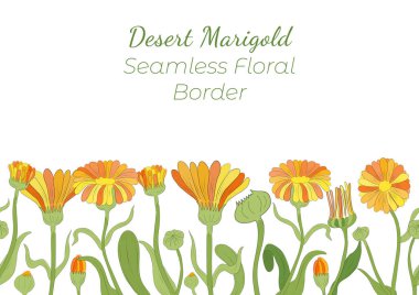 El yapımı çöl kadife çiçeğiyle yapılmış kusursuz sınır yatay olarak ayarlanmış. Renkli Tagetes dalları, çiçekler, tomurcuklar, yapraklar ve hudutlu meyveler. Herhangi bir Tasarım, Reklam İçin Kompozisyon vs..