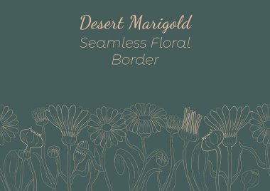 El Marigold 'la Yapılan Kusursuz Sınır Yatay Düzenlendi. Çöl Marigold dalları, çiçekler, tomurcuklar, yapraklar, sadece konturdan yapılmış meyveler. Herhangi bir Tasarım, Reklam İçin Kompozisyon vs..