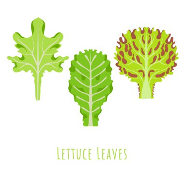 Marulun üç ayrı yaprağı.