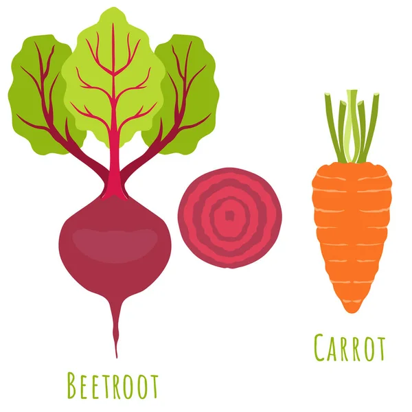 Rote Bete und Karotte isoliert auf weiß — Stockvektor