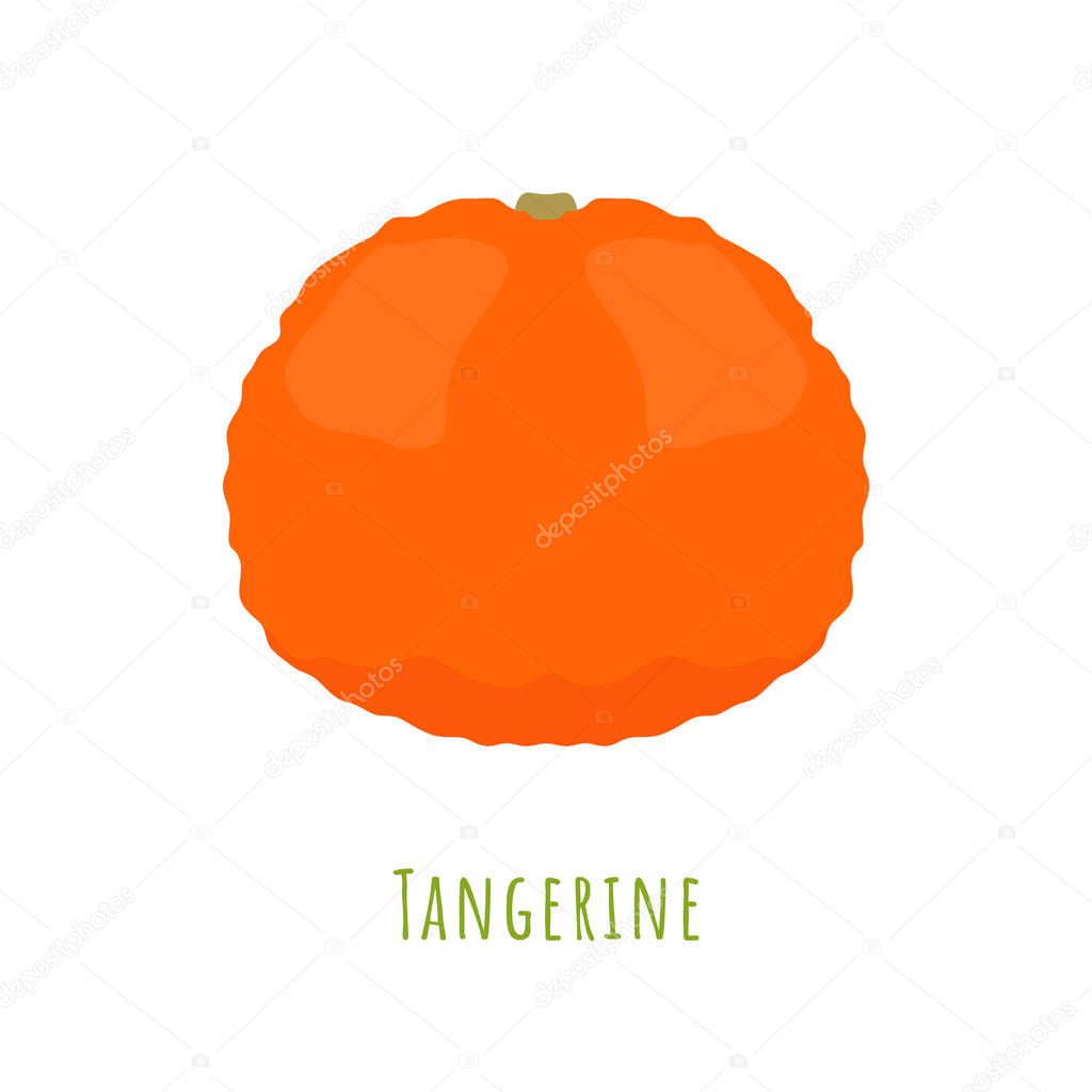 Single one tangerine fruit isolated on white