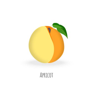 Beyaz arka planda izole edilmiş tek kayısı meyvesi. Canlı, yeşil yapraklı tombul kayısı. Gölgeli düz vektör. Vektör EPS 10 illüstrasyonu