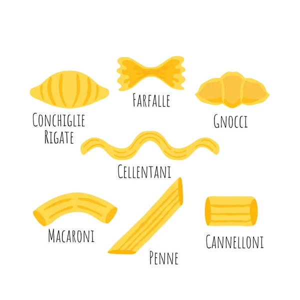 Set Dengan Umum Tujuh Jenis Pasta Italia Satu Conchiglie Rigate - Stok Vektor