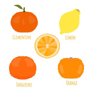 Tatlı sarı ve yarım dilimlenmiş narenciye meyveleri izole edilmiş ve düz bir şekilde yapılmış. Sadece renklerle dolu özetlenmiş simetrik şekiller yok. Ürün tasarımı, web ve yazdırma kullanımı için vektör illüstrasyonu.