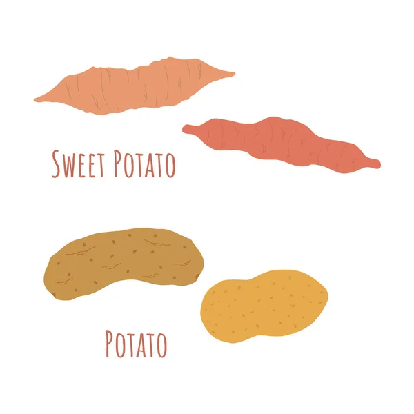 Four Whole Regular Sweet Potatoes Isolated White Made Flat Style — Stock Vector