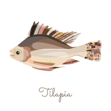 İzole edilmiş Tilapia balığı. Düz stil yapılmış. Tilapia 'yı çizgiler olmadan, ışık ve gölgelerle renklendirdi. Taze balık, deniz ürünleri, sağlıklı protein kaynağı ve diğer besinler..