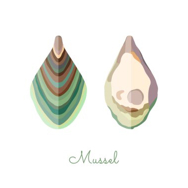 Düz stil yapılmış midye kabukları. Çizgisiz renkli midyeler, geometrik gölgeler. Taze yumuşakça, deniz ürünleri, sağlıklı protein kaynağı.