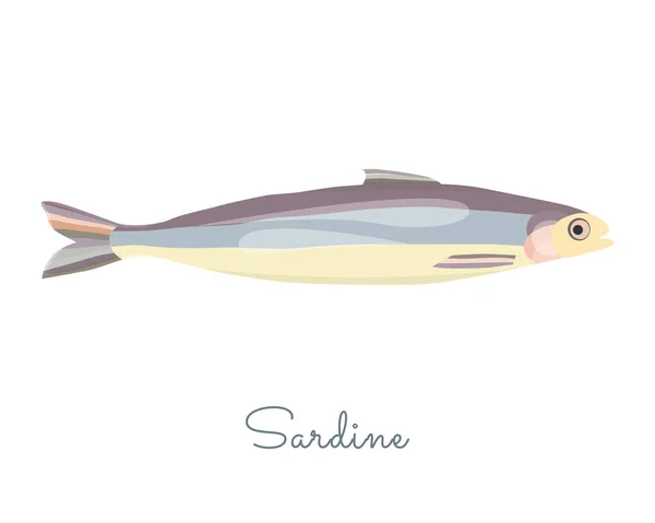 Pesce Sardo Isolato Realizzato Stile Piatto Sardina Colorata Senza Contorni — Vettoriale Stock