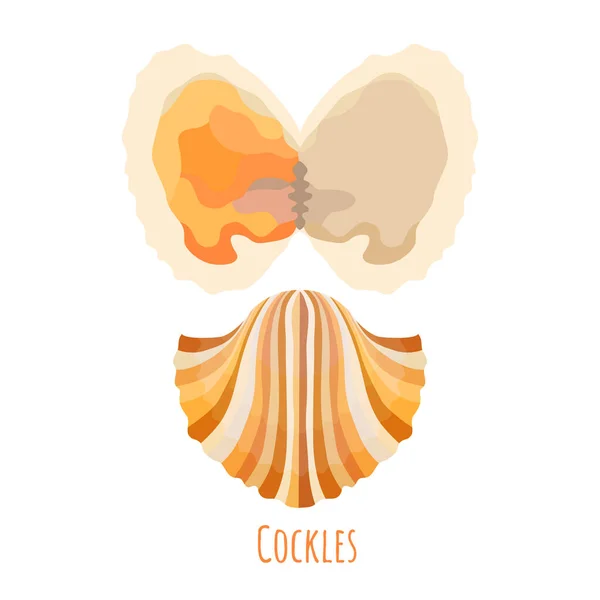 Cockles conchas en estilo plano aisladas en blanco — Vector de stock