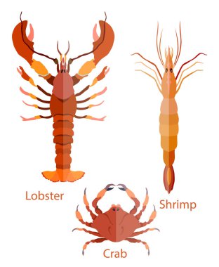 Düz simetrik ıstakoz, yengeç ve karides izole edilmiş.