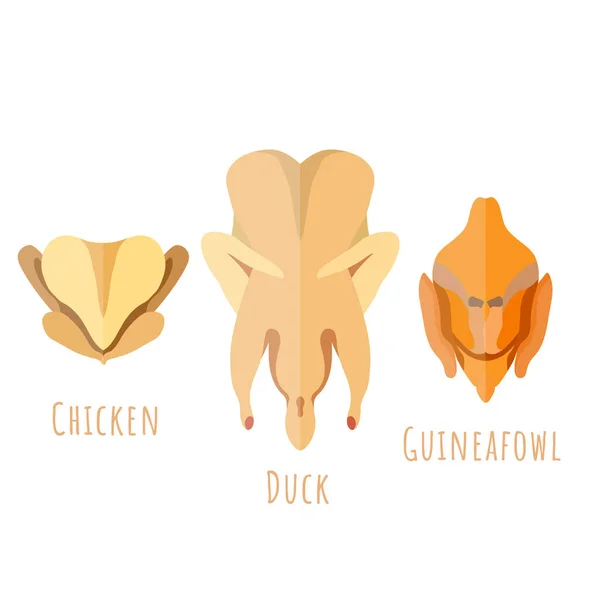 Flache Hühner-, Enten- und Uhu-Rohkadaver — Stockvektor
