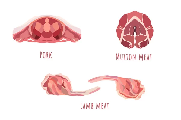 Vecteur plat de viande crue de porc, de mouton et d'agneau — Image vectorielle