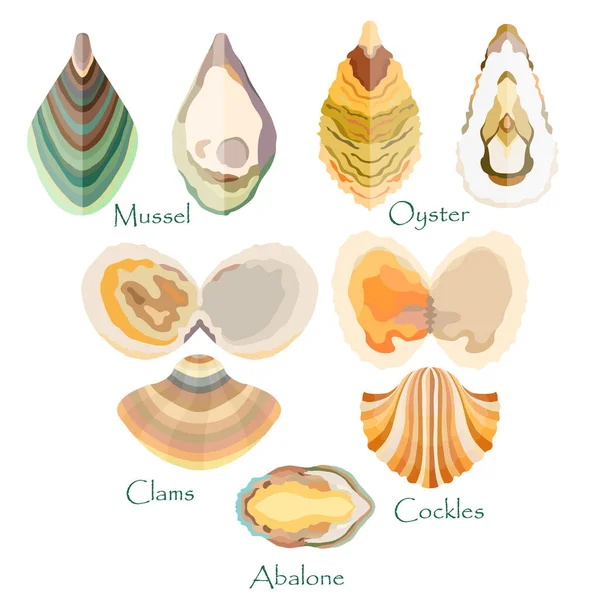 Set de mollusques comestibles de style plat — Image vectorielle