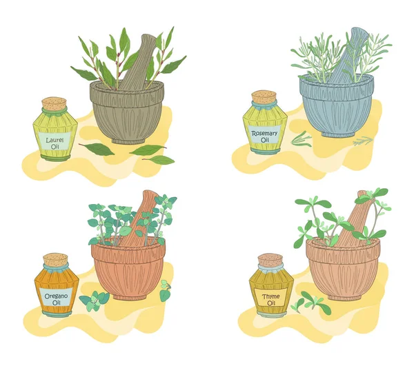 Set with Laurel, Rosemary, Oregano and Thyme Oils — Stock Vector