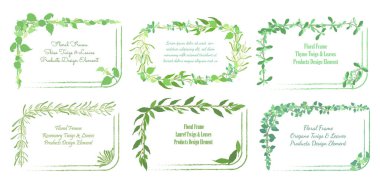 Yuvarlak köşeli kare çerçeveler ve Elle çizilmiş Mutfak Bitkisi Dalları ve Yaprakları. Laurel, Oregano, kekik, Rosemary ve dikdörtgen çerçeveli Shiso. Kare Kenarlar İçin Sert Fırça Vuruşları.
