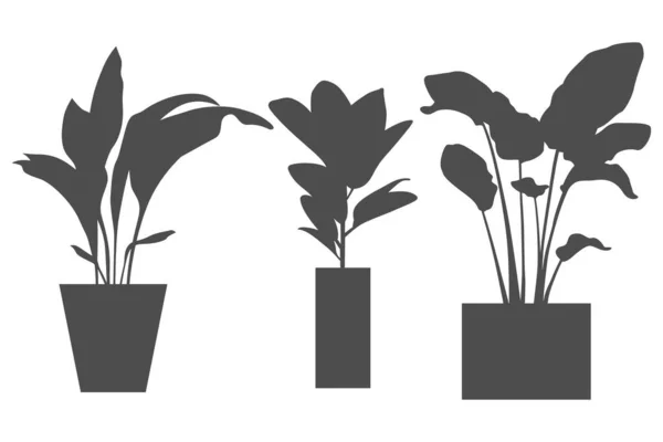 Tres iconos de flores en maceta aislados en blanco — Vector de stock