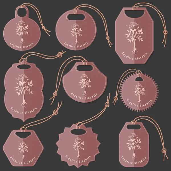 Set van Tags met Dong Quai Herb Silhouet — Stockvector