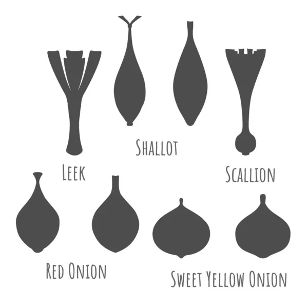 Beyaz üzerine izole edilmiş farklı soğan simgeleri — Stok Vektör
