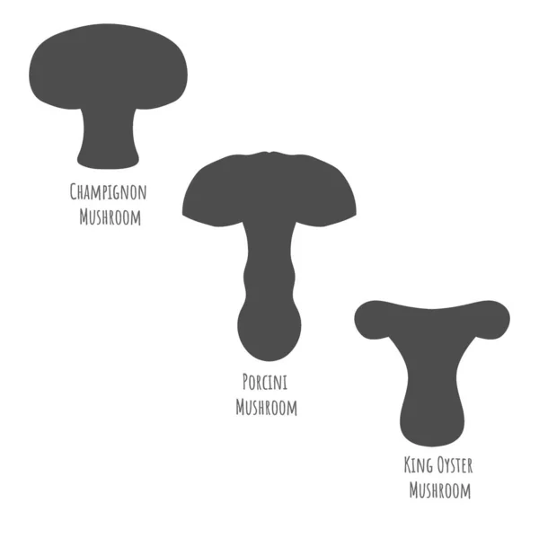 Porcini, Champignon і король Oyster Mushroom set — стоковий вектор