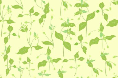 Seamless Pattern with a Green Chickweed Parts