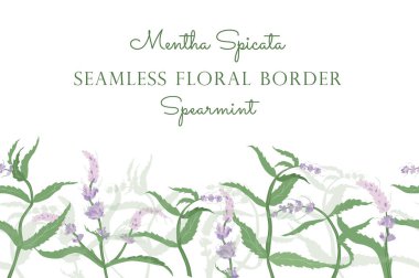 El yapımı nane şekeriyle yapılmış kusursuz sınır.