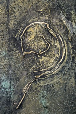 makro sanat tasarım arka plan dokulu