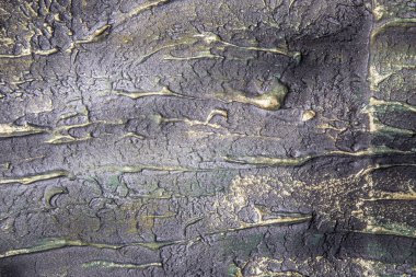 makro sanat tasarım arka plan dokulu