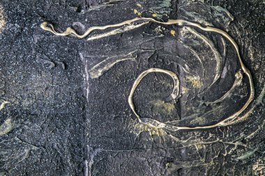 makro sanat tasarım arka plan dokulu