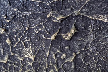 makro sanat tasarım arka plan dokulu