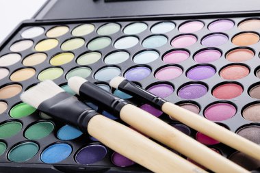 Makro renk paleti ve fırçalar