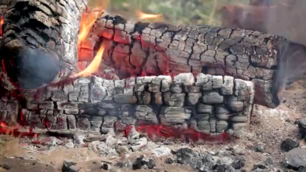 Carbones de hoguera y llama — Vídeos de Stock