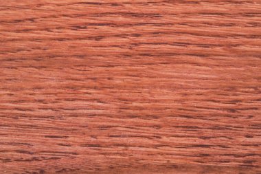 Makro kırmızı ahşap arka plan