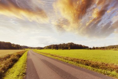 Lonely country-road and open fields clipart