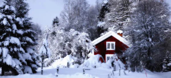 Vieux chalets ruraux entourés d'un paysage hivernal enneigé — Photo