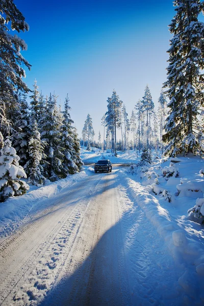 Paesaggio invernale svedese Foto Stock