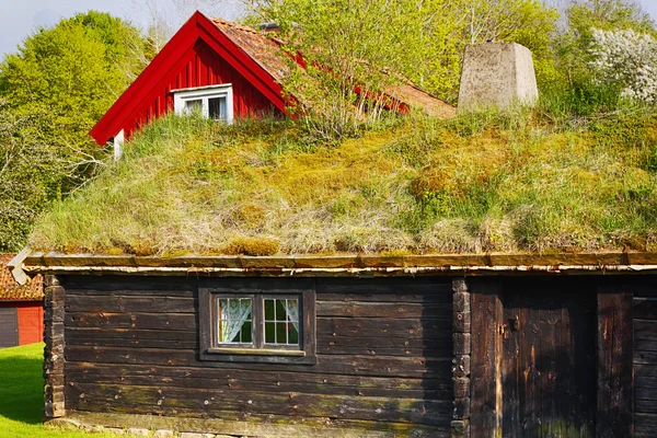 Oude rieten dak en huisjes, 16e-eeuwse cultuur uit Zweden — Stockfoto