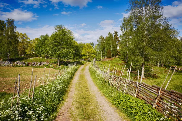 Viejo camino rural en un paisaje de cultura rural — Foto de Stock