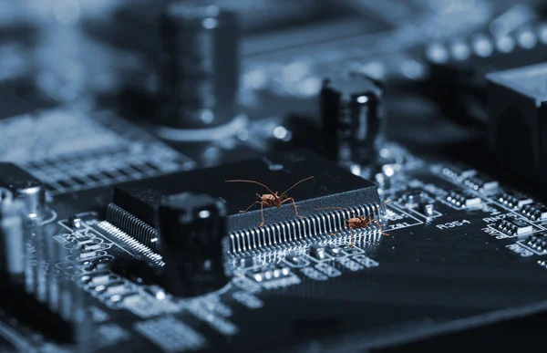 Bugs de computador em uma placa de circuito — Fotografia de Stock