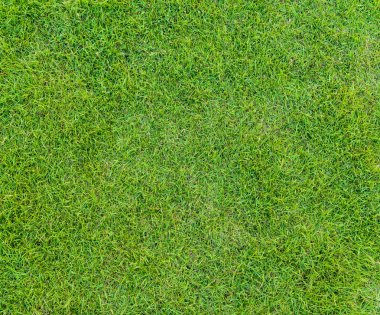  golf sahasında günbatımı tim yeşil çim desen