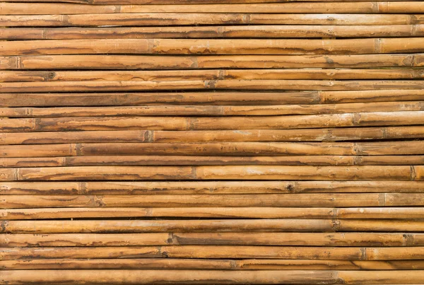 Madera de bambú de fondo de pared de valla — Foto de Stock