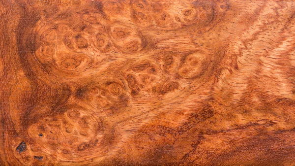 Fundal și textura lemnului Macro Ormosia — Fotografie, imagine de stoc