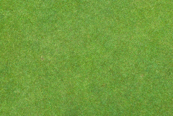 Beautiful green grass pattern — Stock Photo, Image